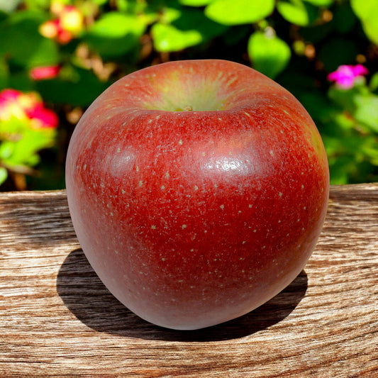 Braeburn (1kg)