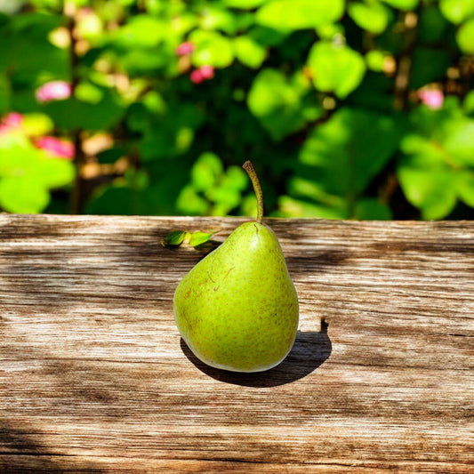 Köstliche (1kg)