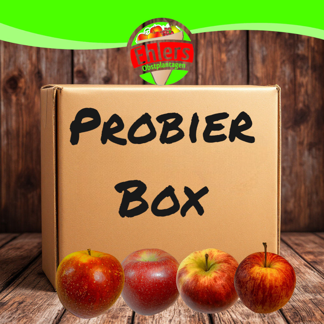 Probierbox (Hauptsorten)